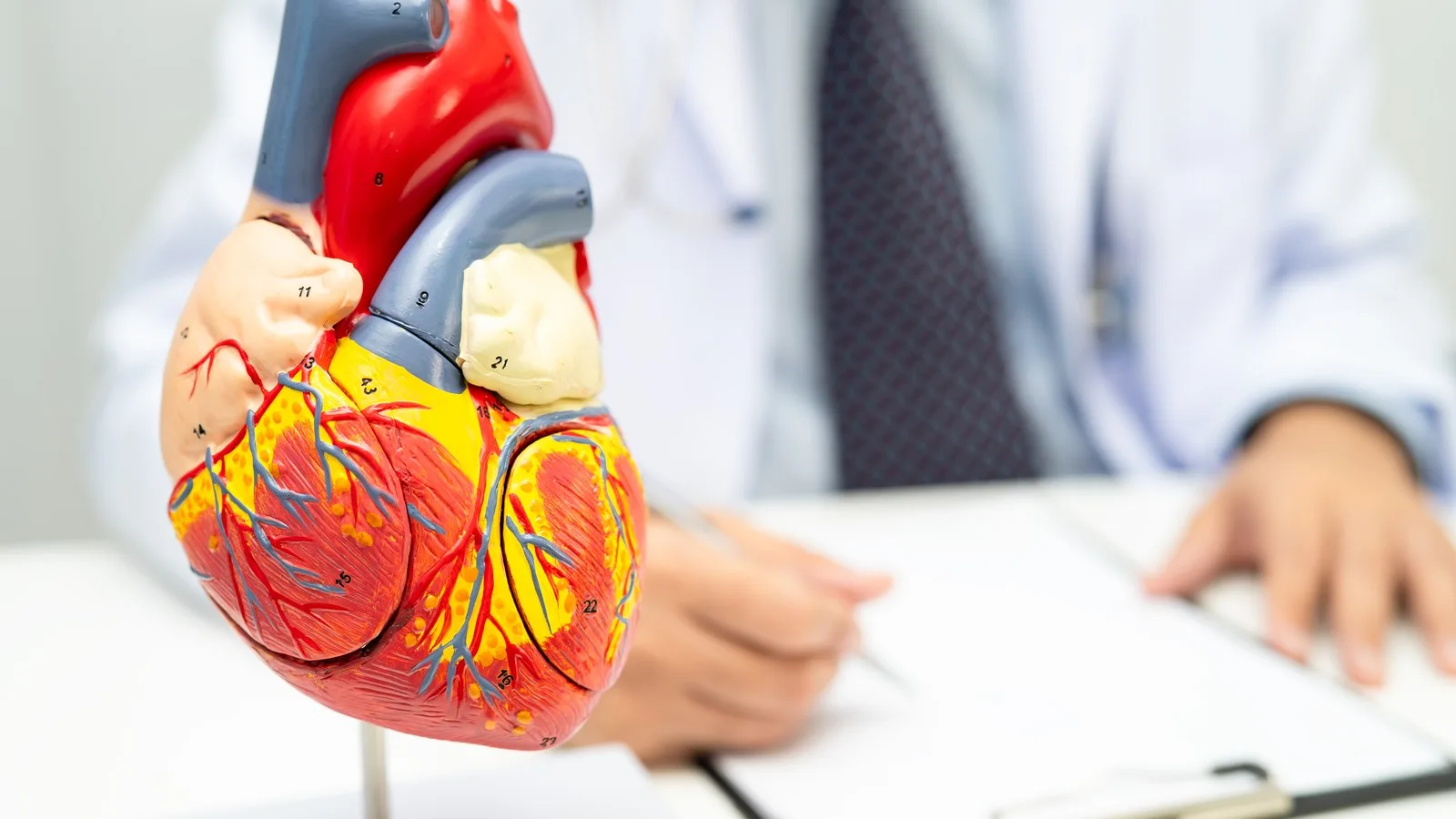 Cardiólogo vs Internista: Diferencias y guía para elegir especialista en Querétaro