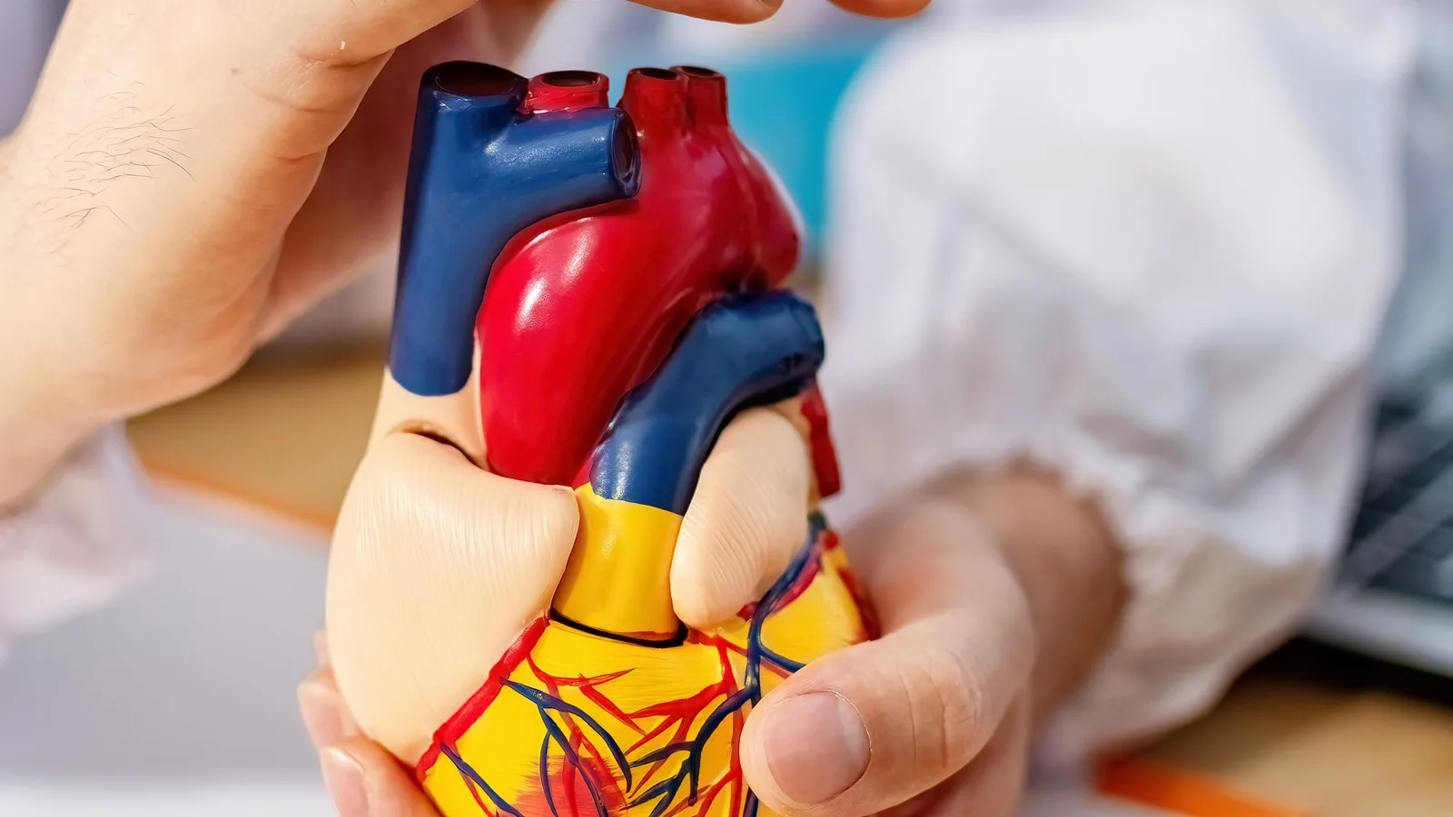 Abordaje integral de la cardiomegalia en Querétaro