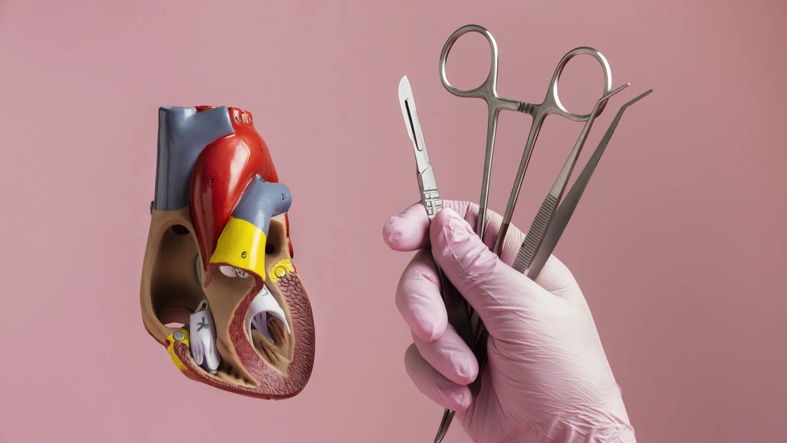 ¿Qué médico trata soplos cardíacos en Querétaro?